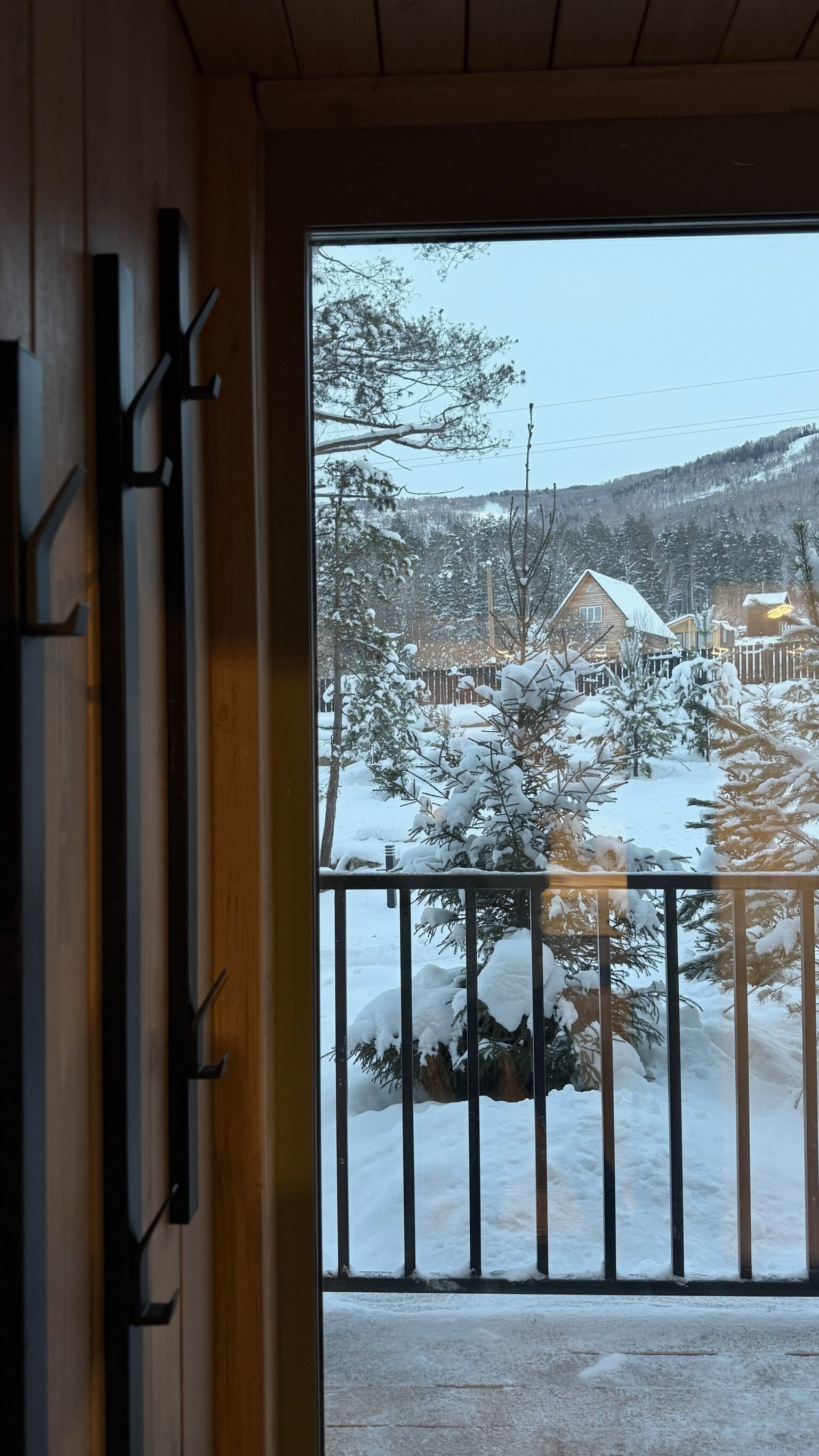 Фото Forest Green