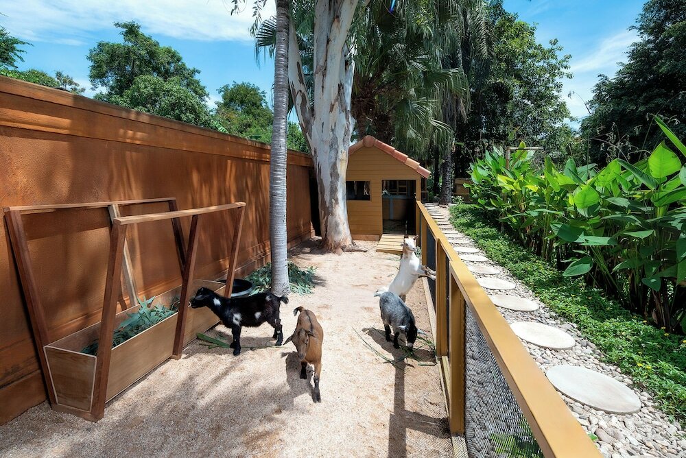 Фото Anantara Hua Hin Resort