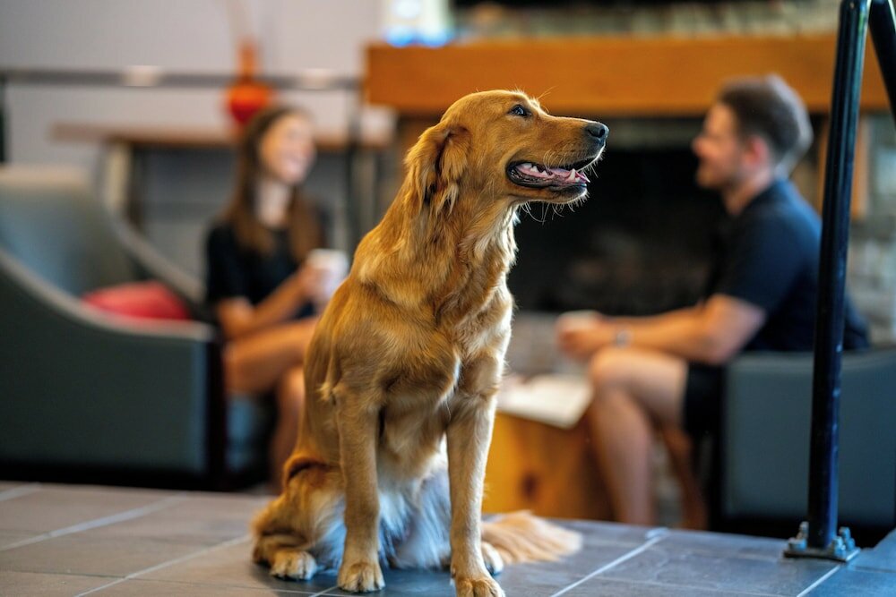 Фото Whistler Village Inn And Suites