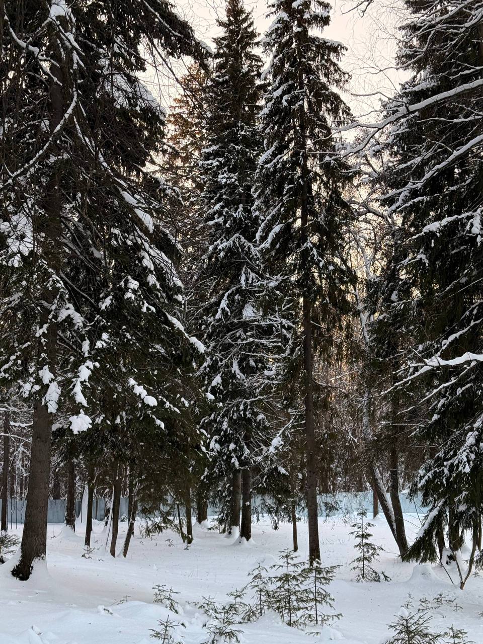 Фото Тюрагай