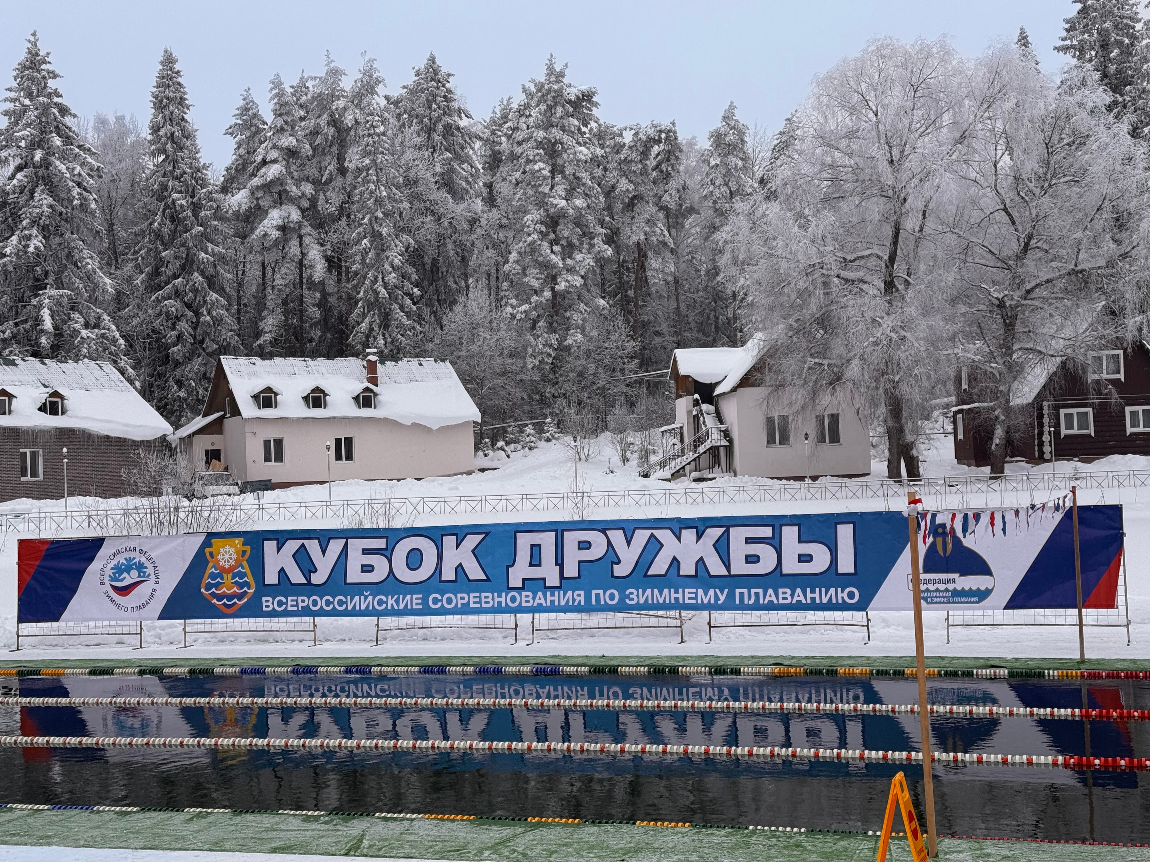 Фото Лесная сказка