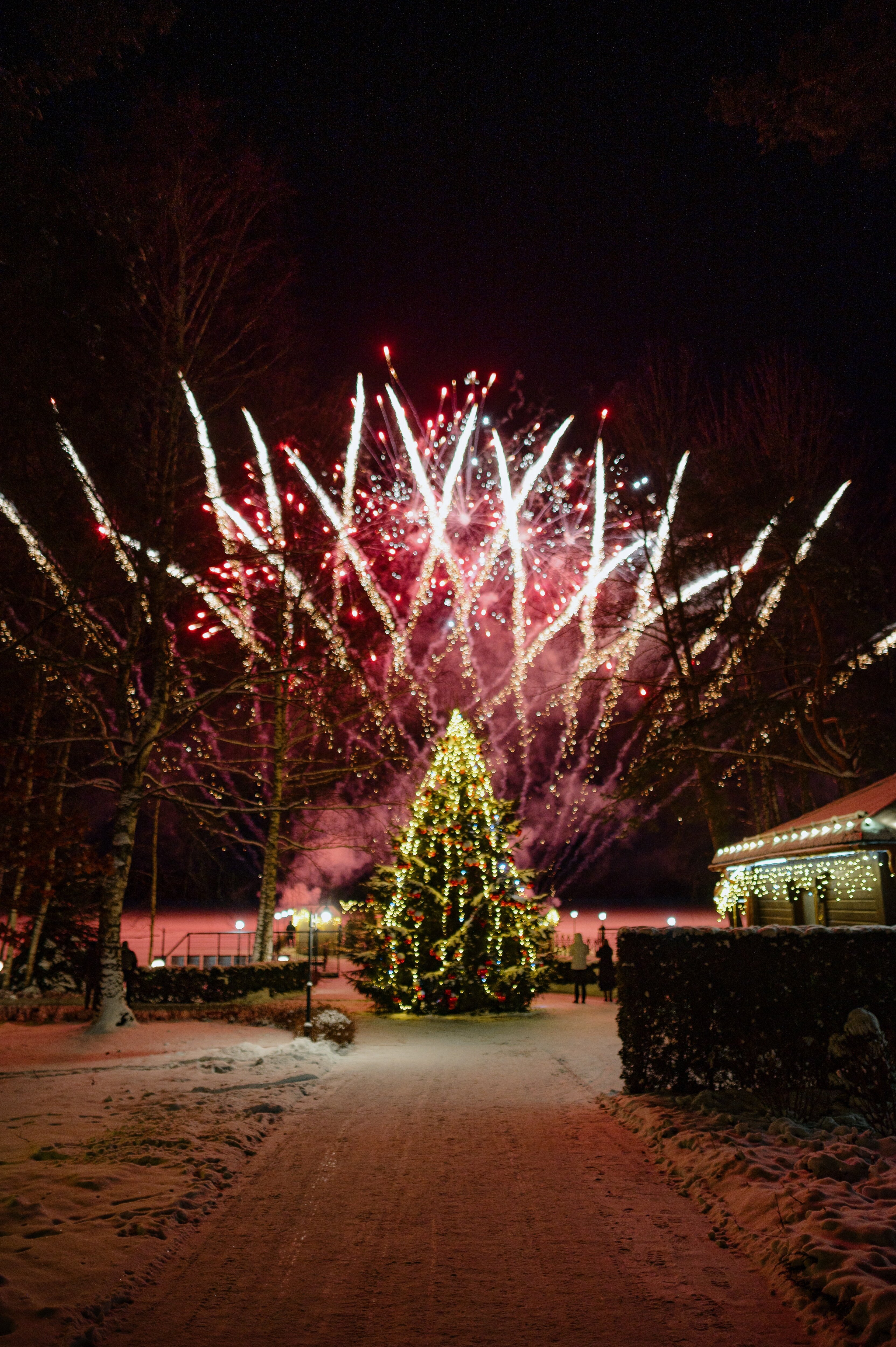 Фото Красный Бор