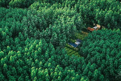 Гостиница Hotel Tzaki в Патрах