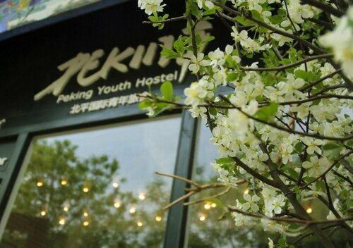Хостел Peking International Youth Hostel в Пекине