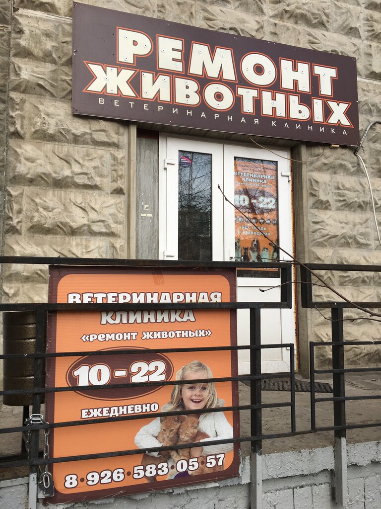 Ремонт животных ул тренева 20 фото