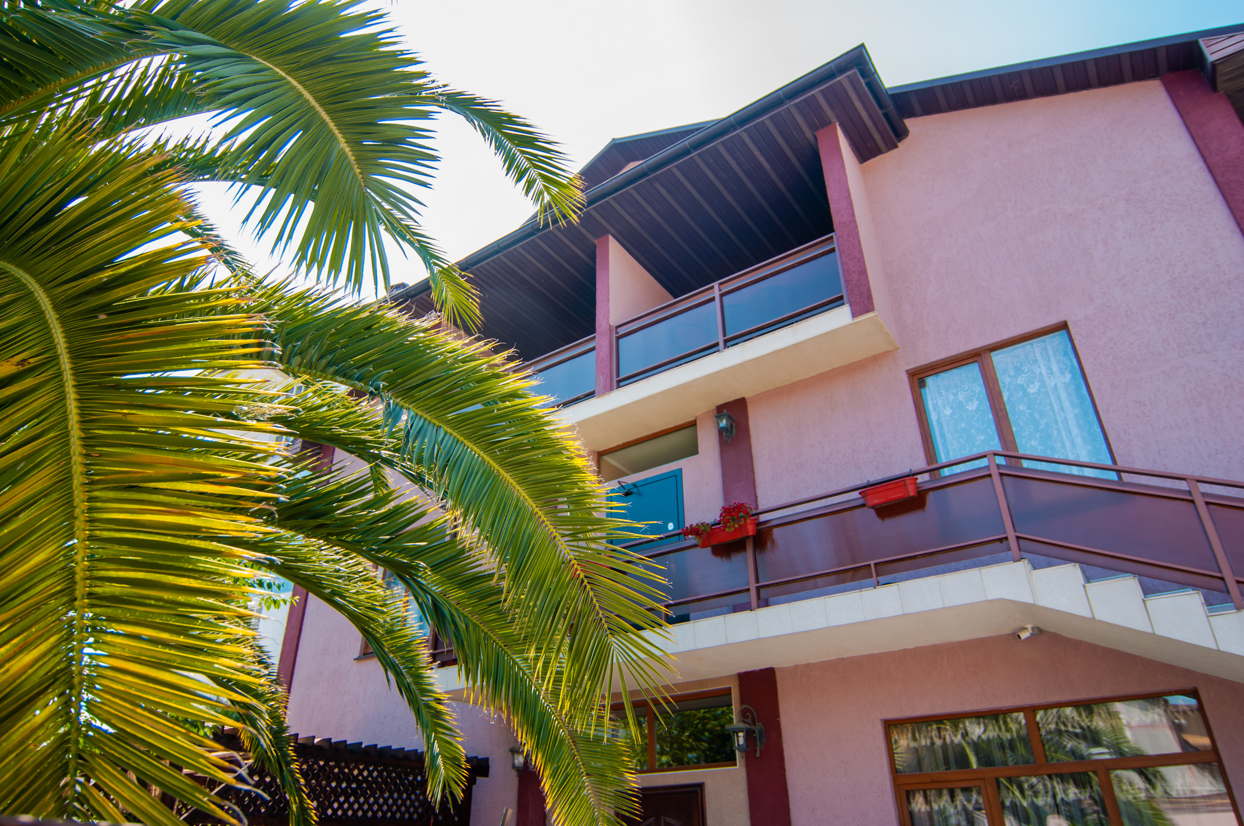 Фото Гранат