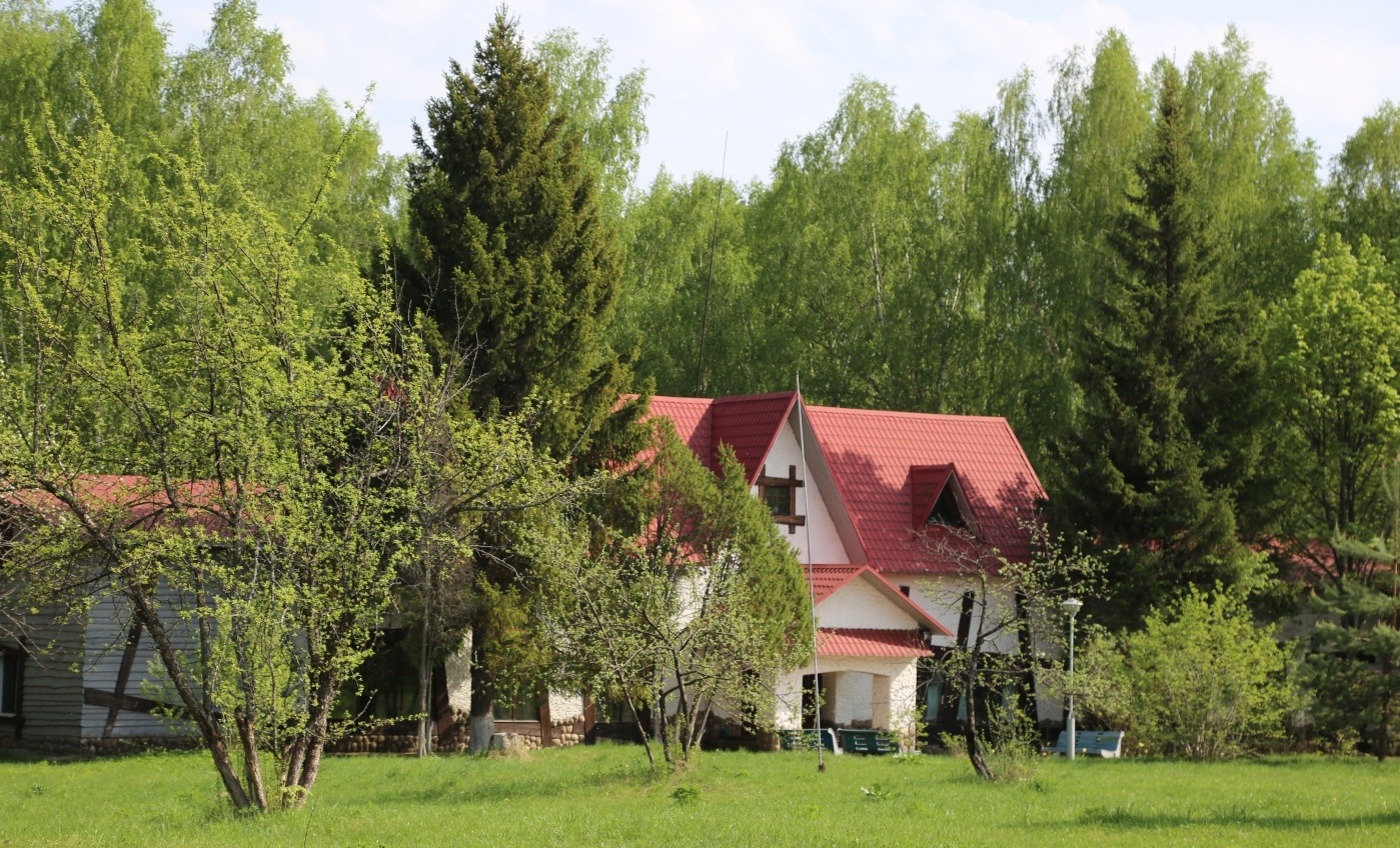 Фото Подсолнухи
