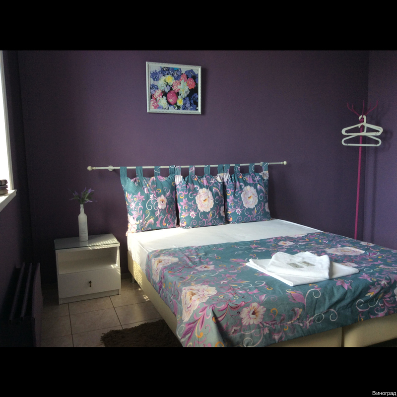 Фото Виноград