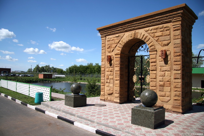 Фото Орхидея