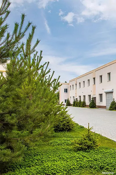 Фото Авиатор