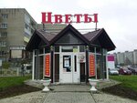 Magazin tsvetov Liana (gorodskoy okrug Vladimir, Leninskiy City administrative district), flower shop