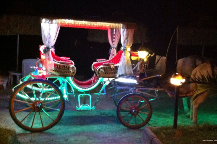 Фото Faustina Hotel & SPA