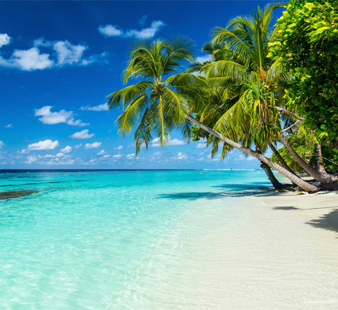 Фото Smiles Beach Hotel