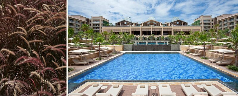 Фото Mulia Resort