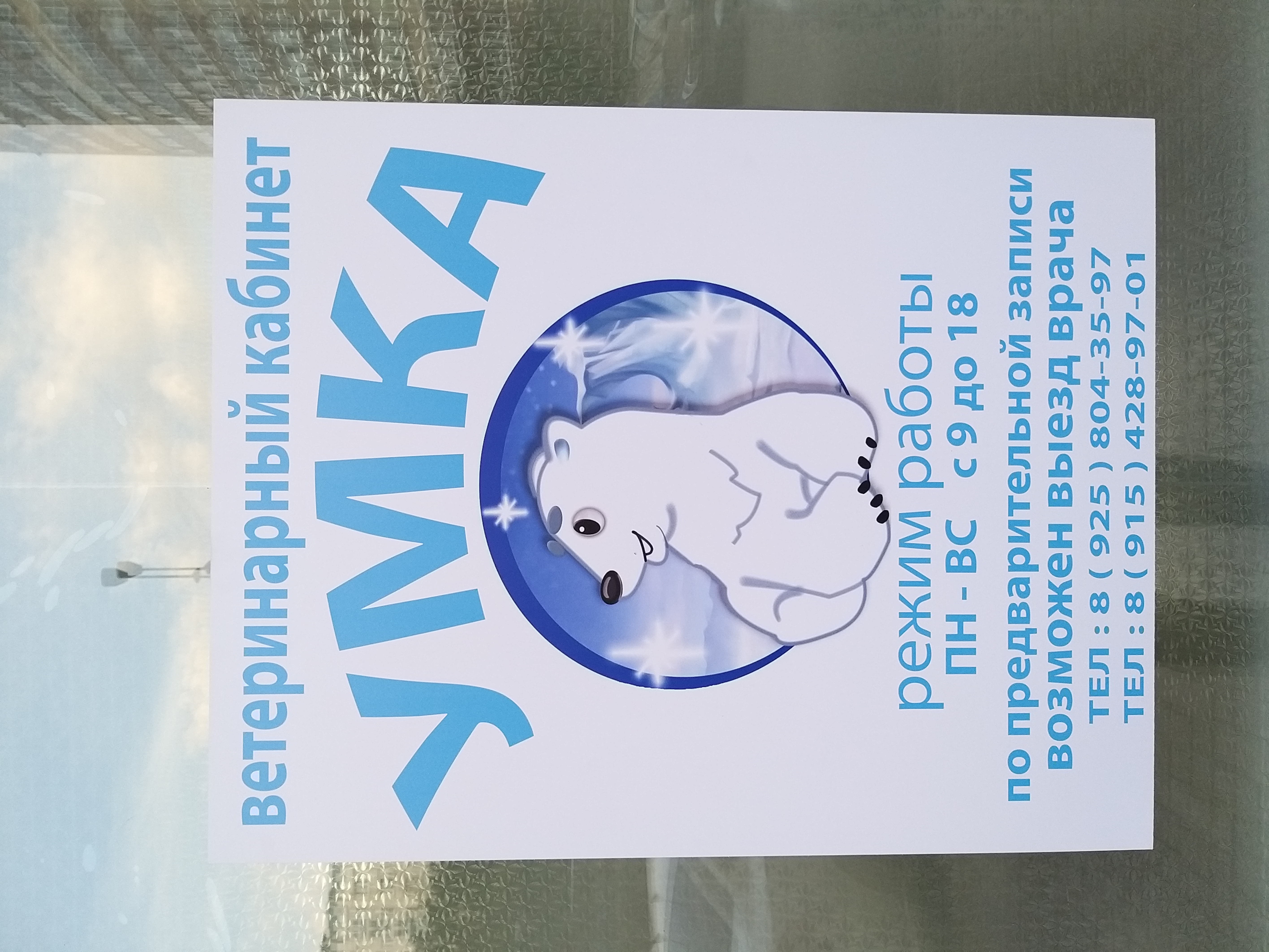 Умка, центр развития в Москве - телефон, адрес, отзывы