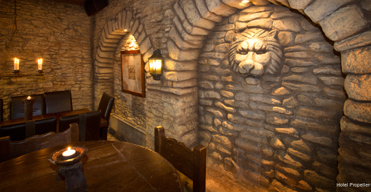 Фото Hotel Propellen