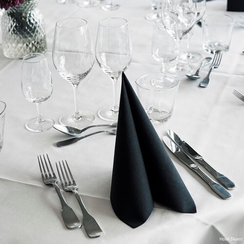 Фото Hotel Skjern