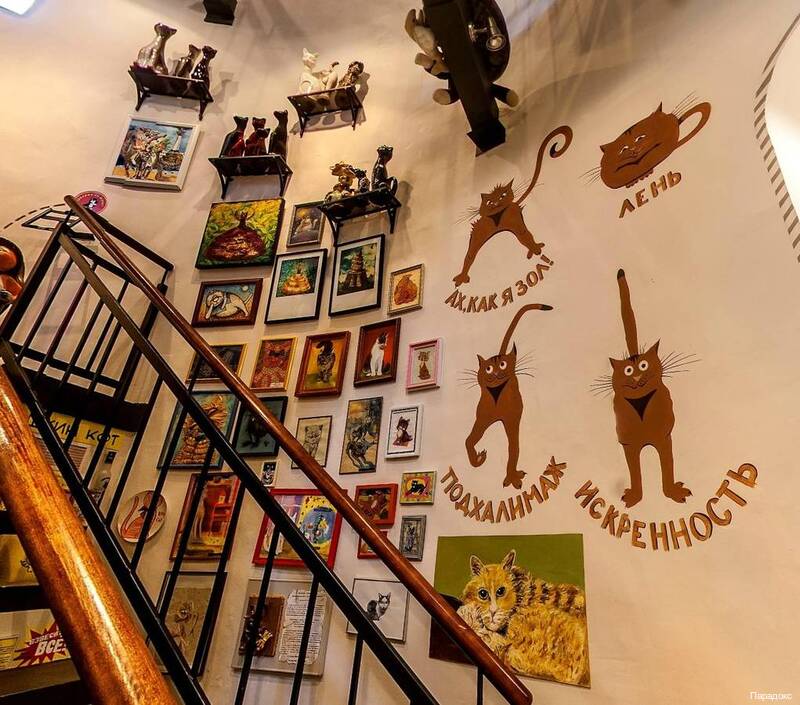 Фото Параdox