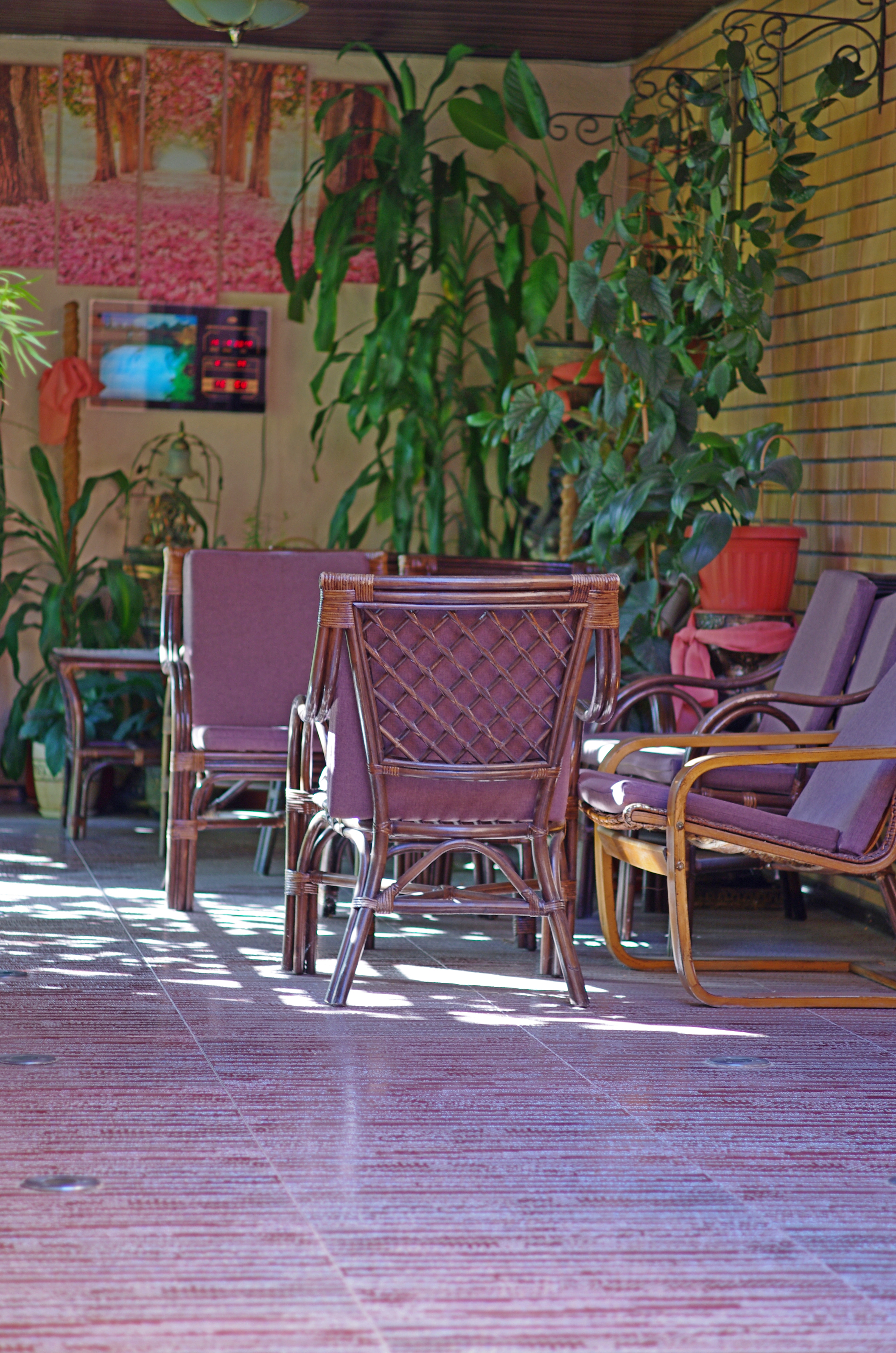 Фото Вилла Елена - Ф