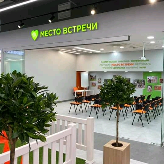 Четыре Лапы - фото 10