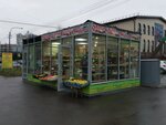 Магазин овощей и фруктов (Prosvescheniya Avenue, 54А) ، متجر بيع خضر خضروات طازجة
