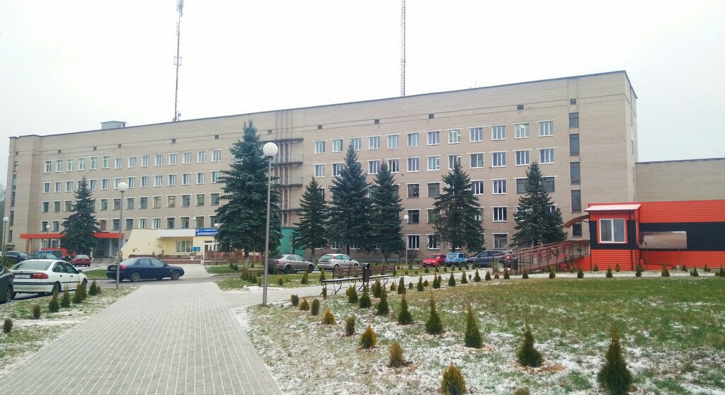Инфекционная больница ул лопатина 172 борисов фото