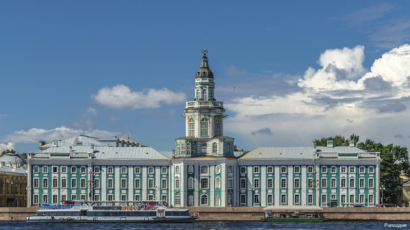 Фото Рапсодия