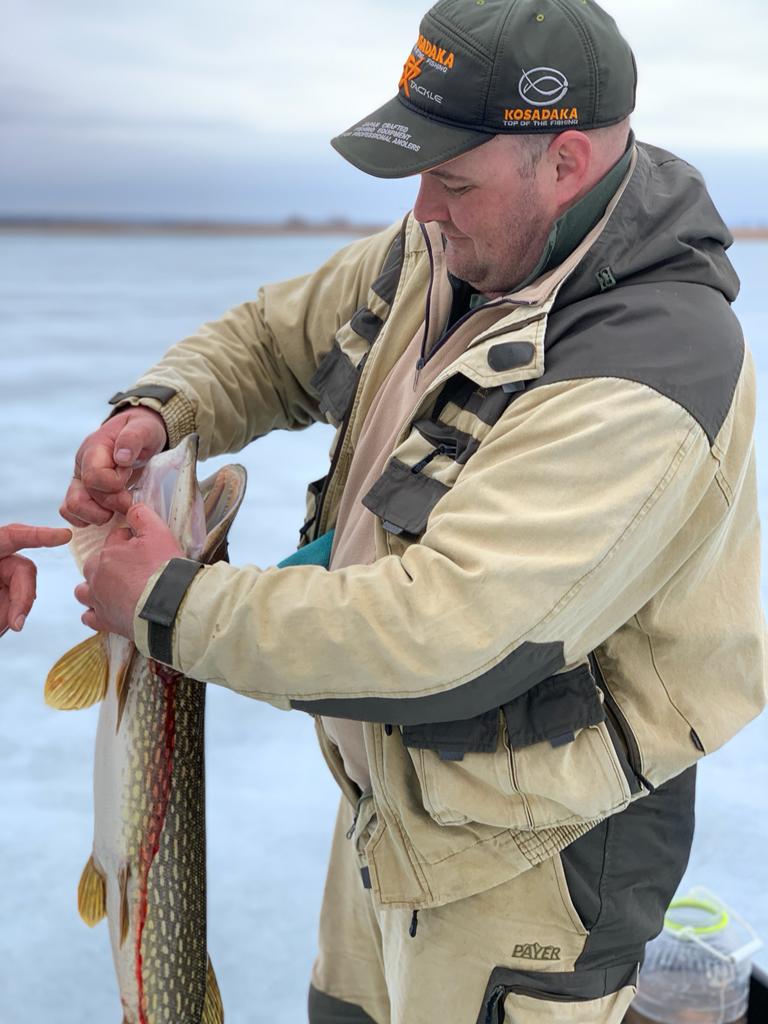 Фото Золотое