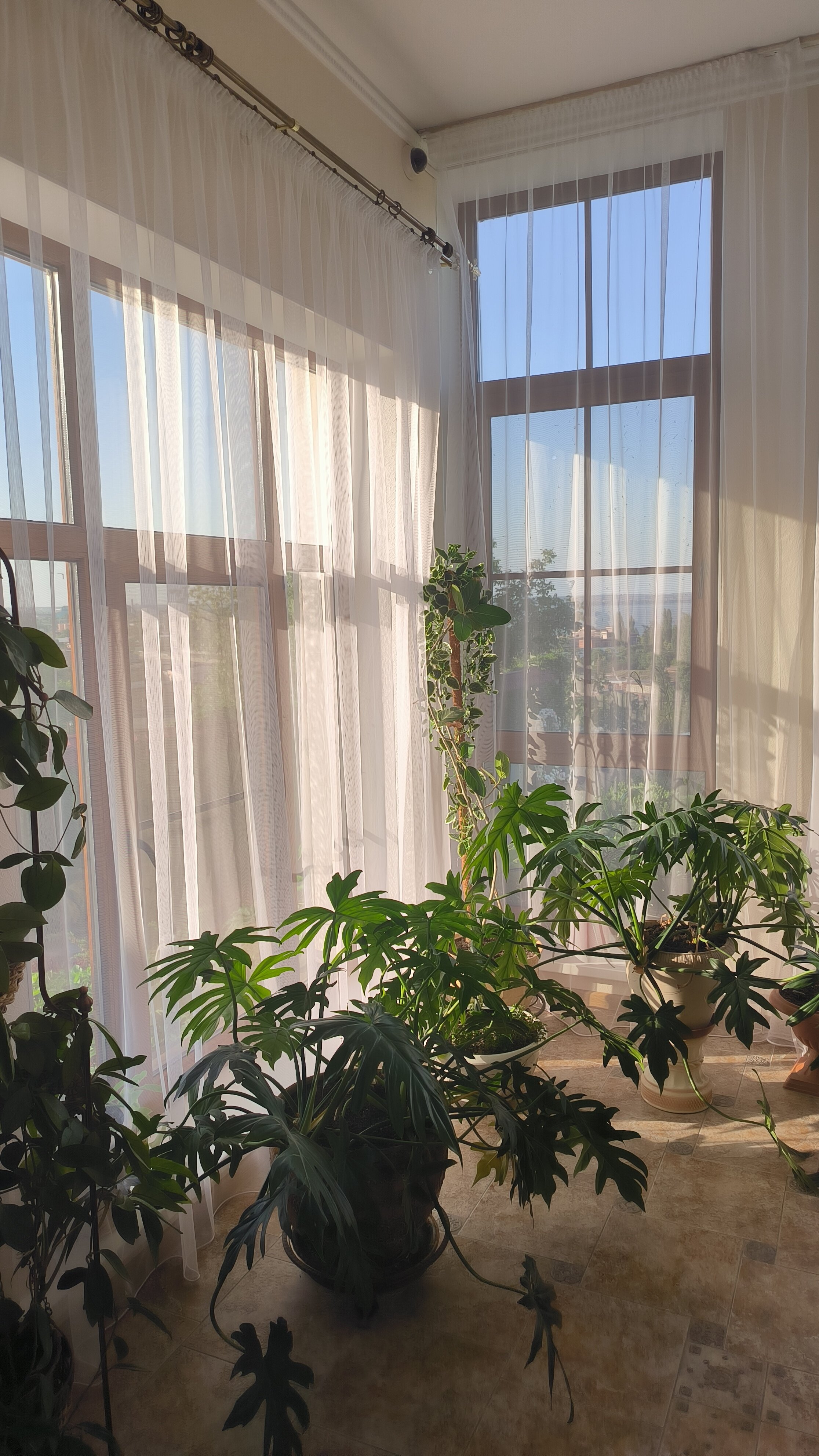 Фото Варваци