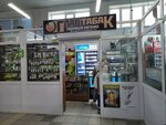 ГлавТабак (Ostrovskogo Street, 14/1), estanco
