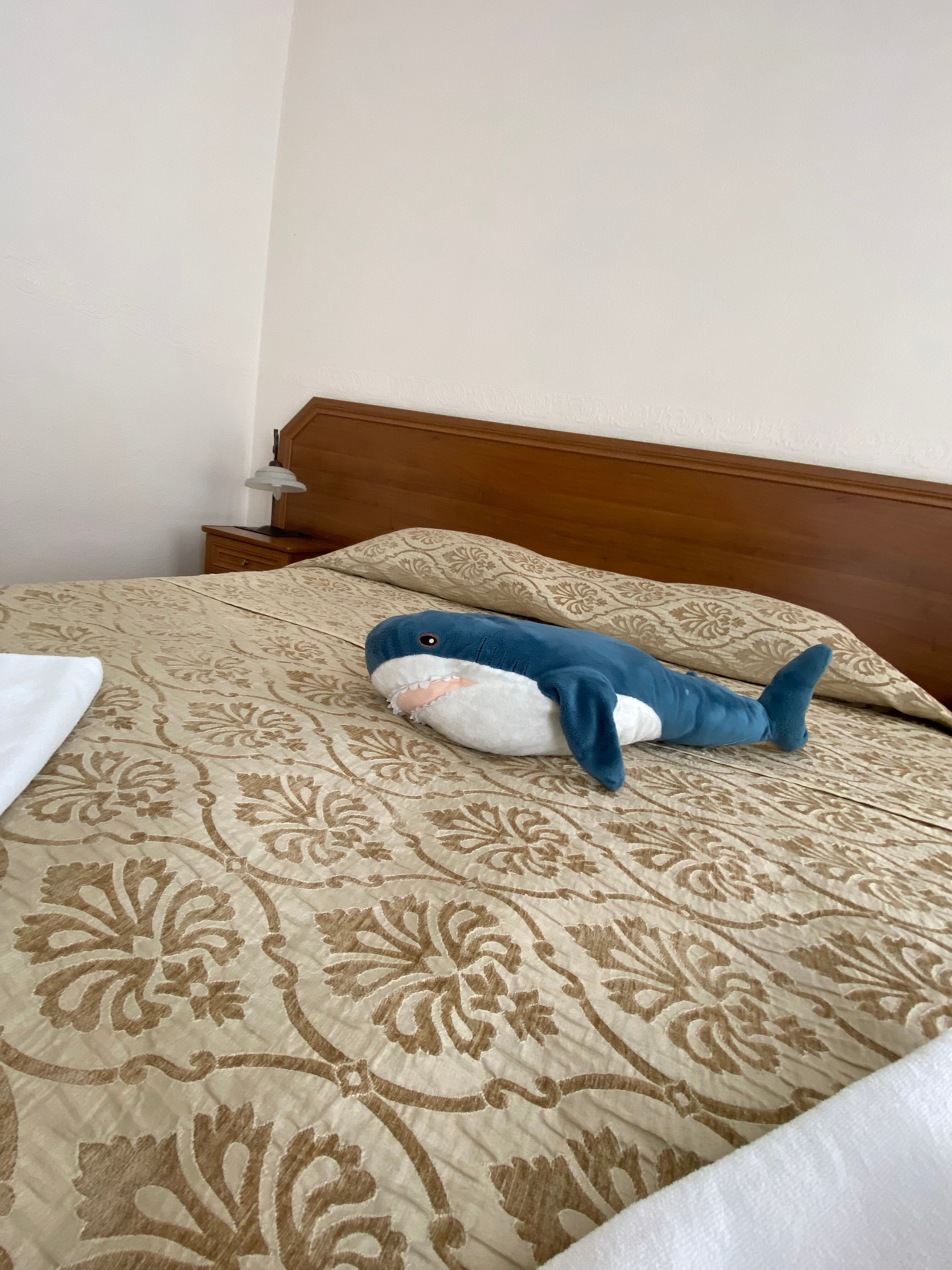 Фото Nouvelle Europe