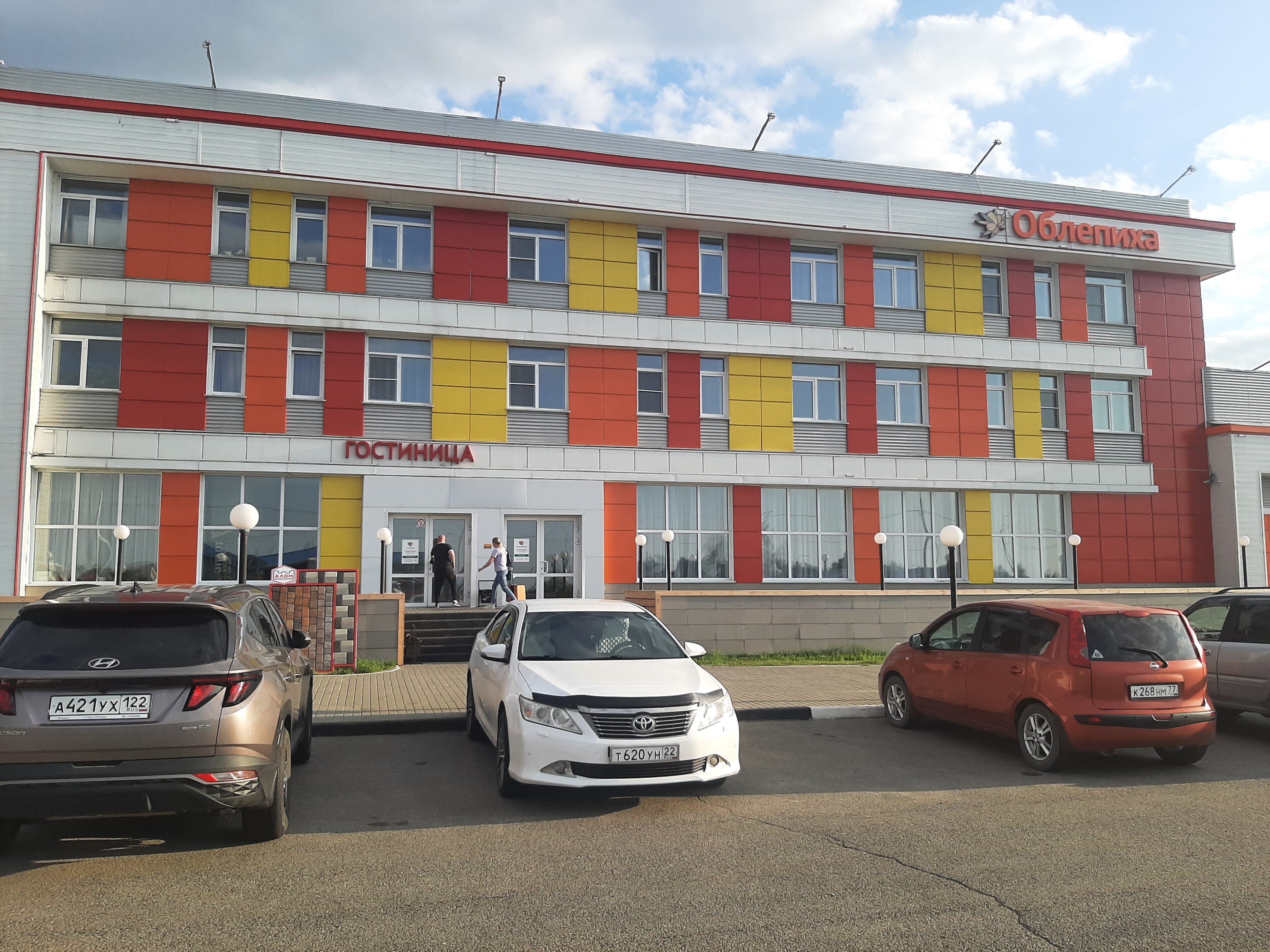 Фото Облепиха