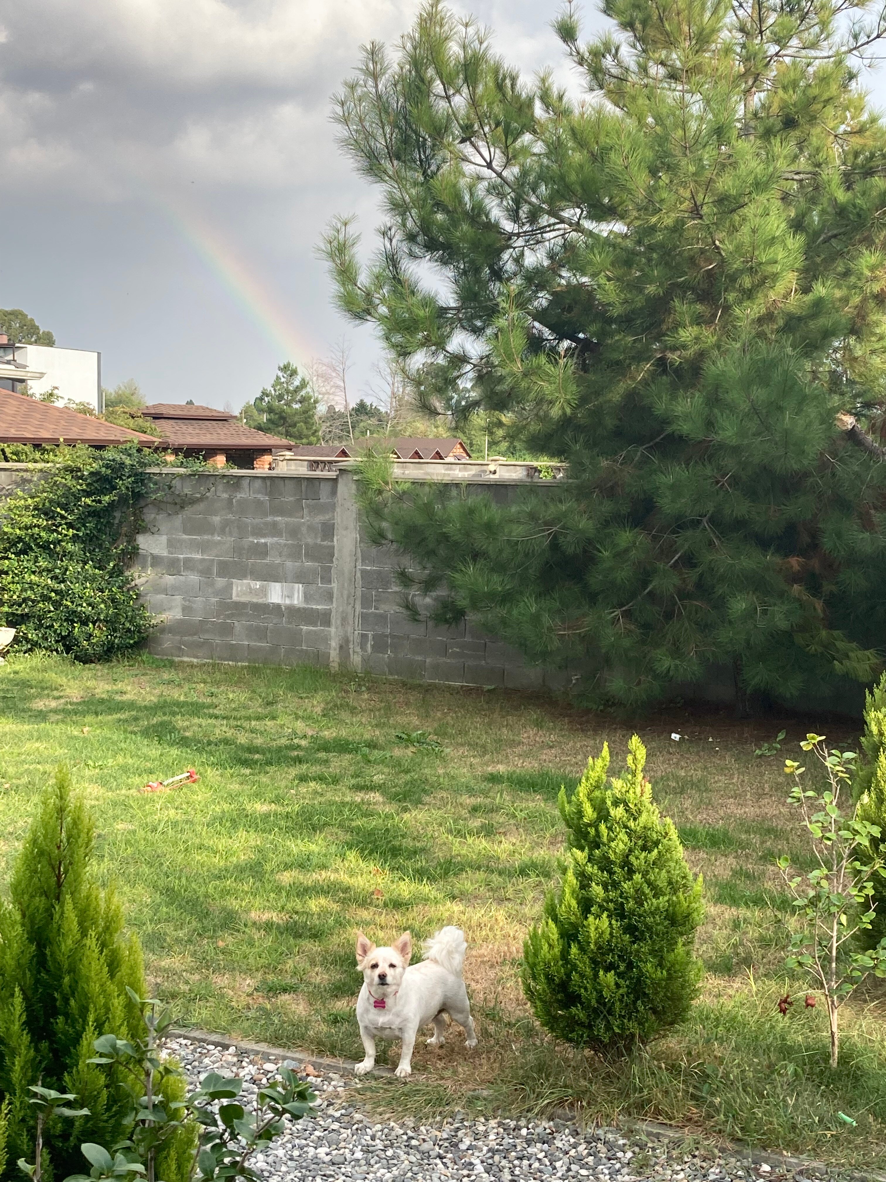 Фото 18755341514