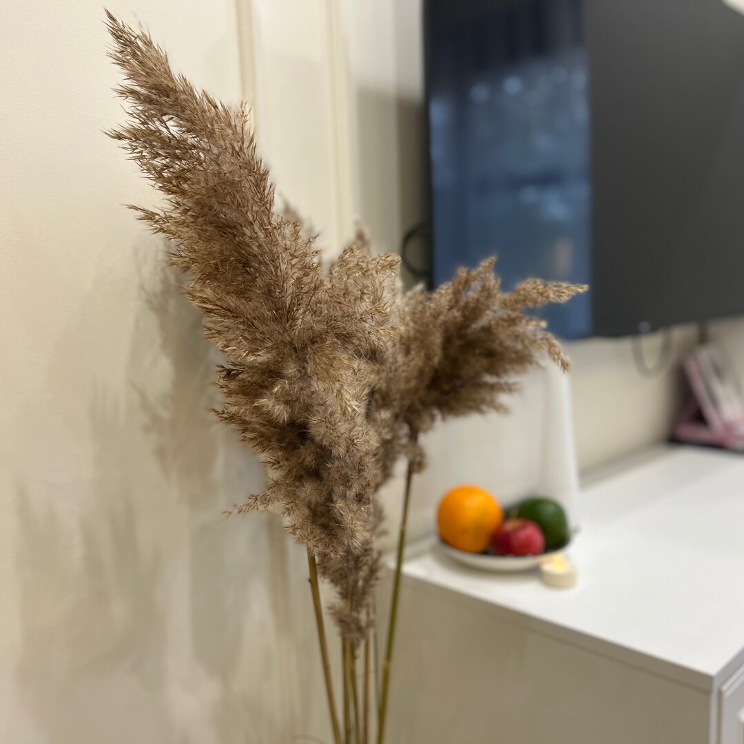 Фото Вилерона