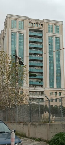 Temizlikyolda office