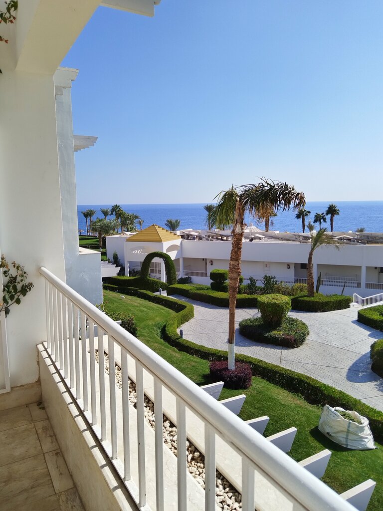 ملهى ليلي مونت کارلو لاوندج كلوب ، شرم الشيخ، صورة