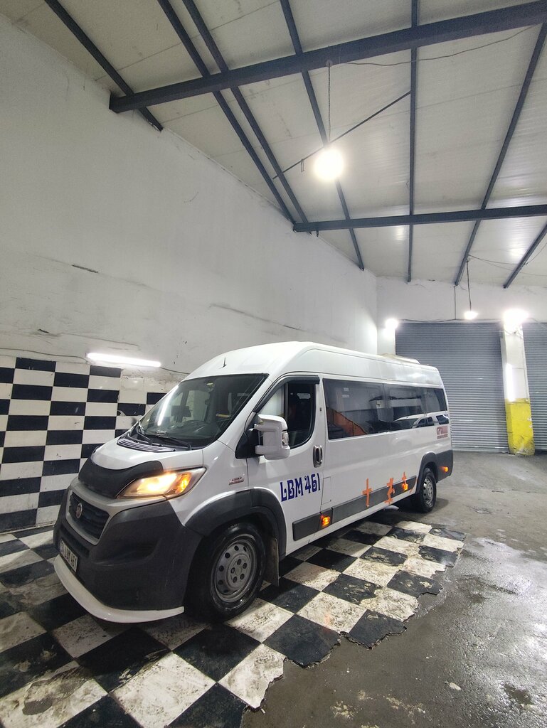 Car service, auto repair Demiray Auto Service, Istanbul, photo