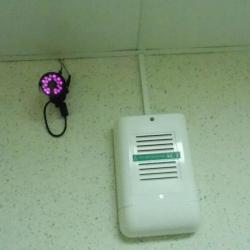 Фото Ландыш