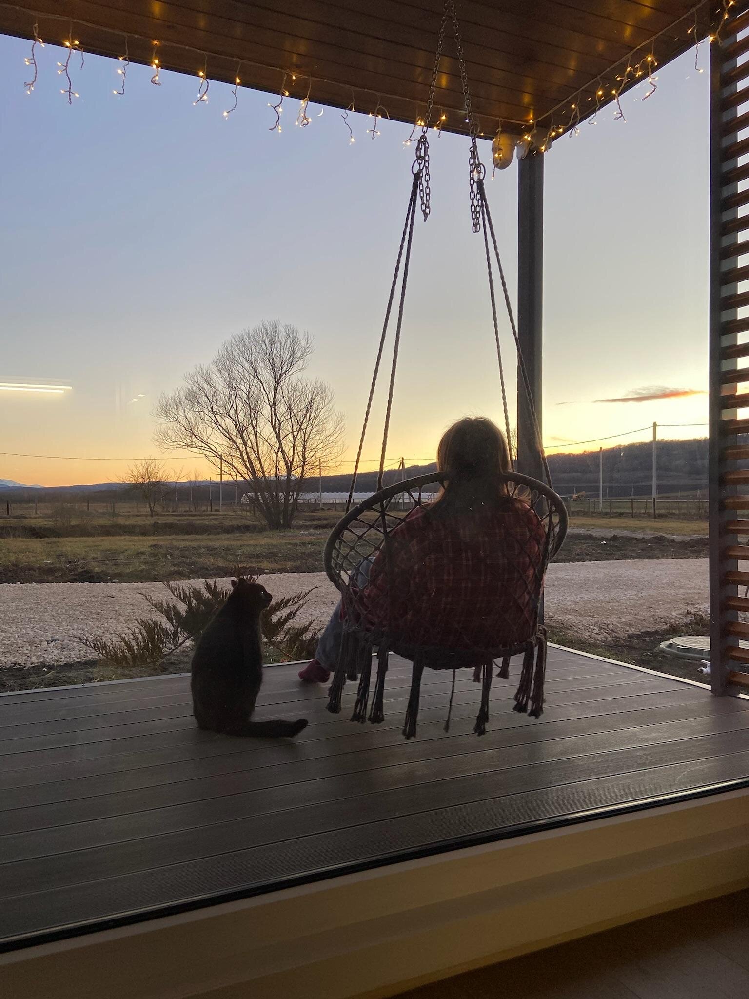 Фото Видисвет