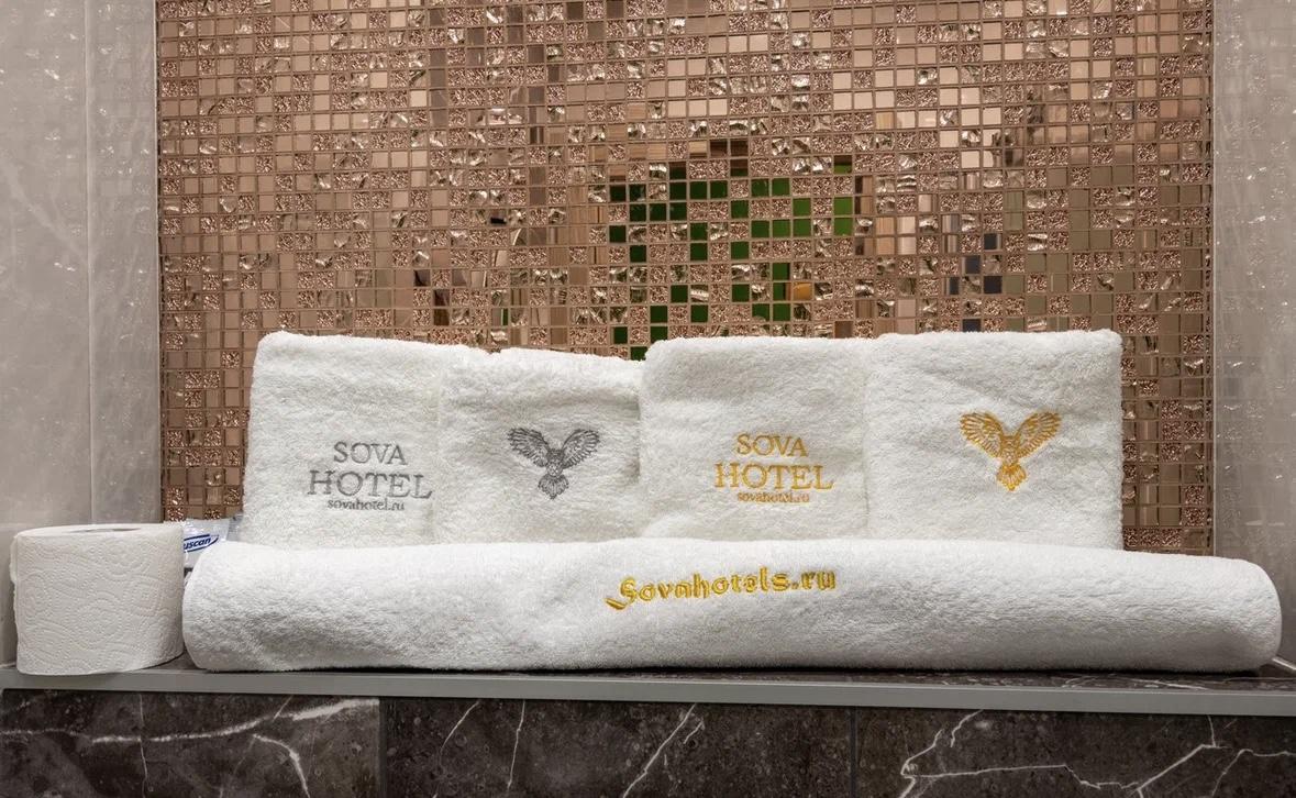 Фото Сова на Планерной