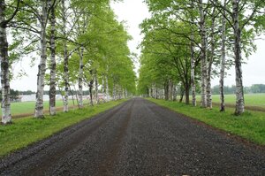 Гостиница Premier Hotel Cabin Obihiro
