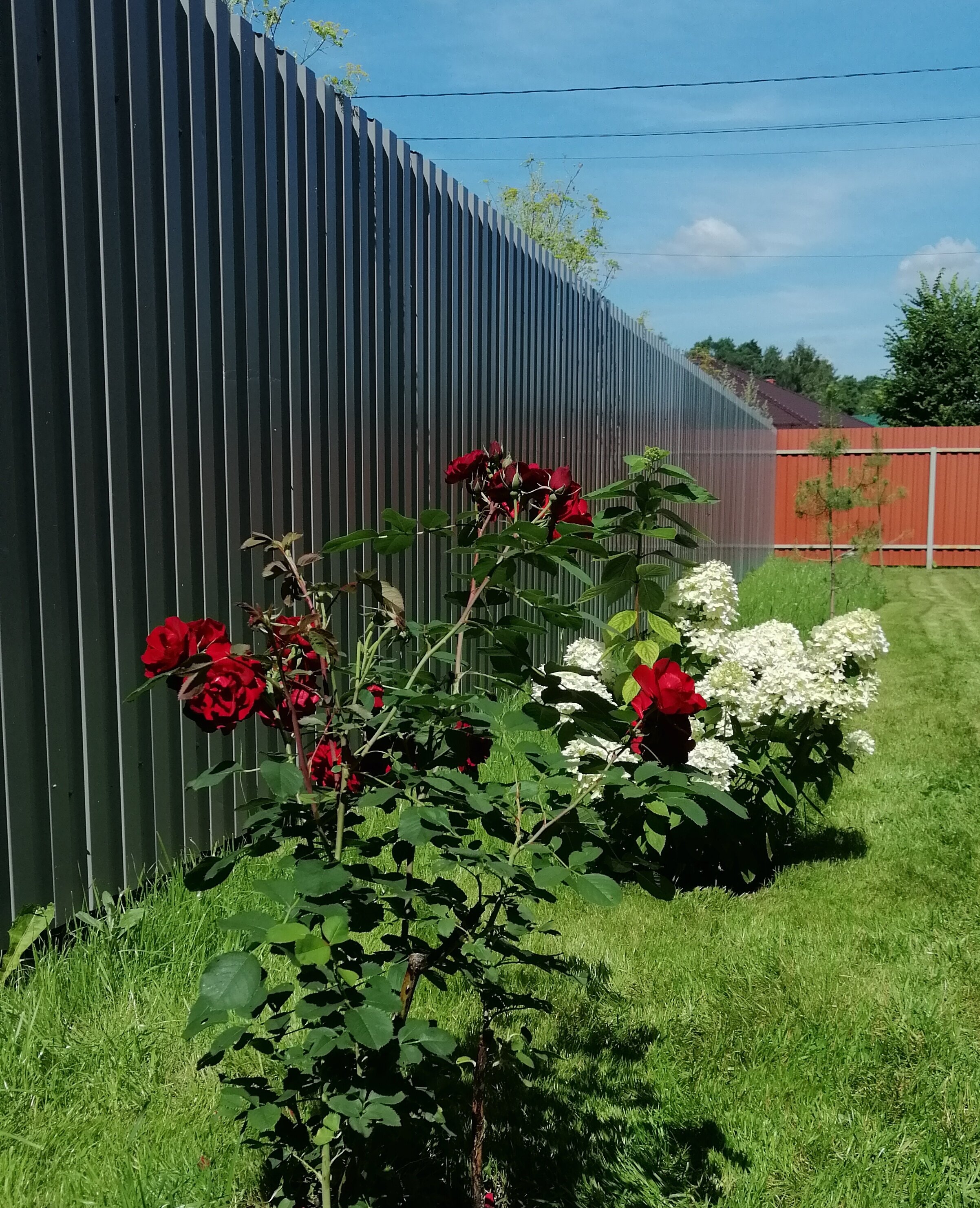 Фото 8 подушек