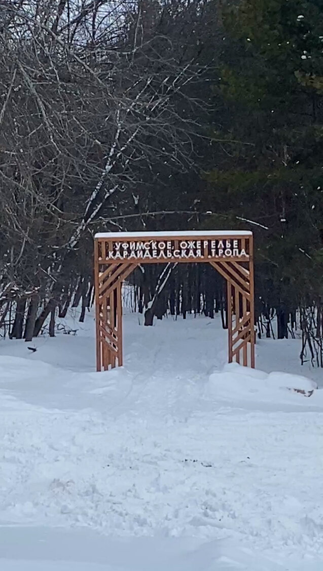 Фото Лесная Резиденция