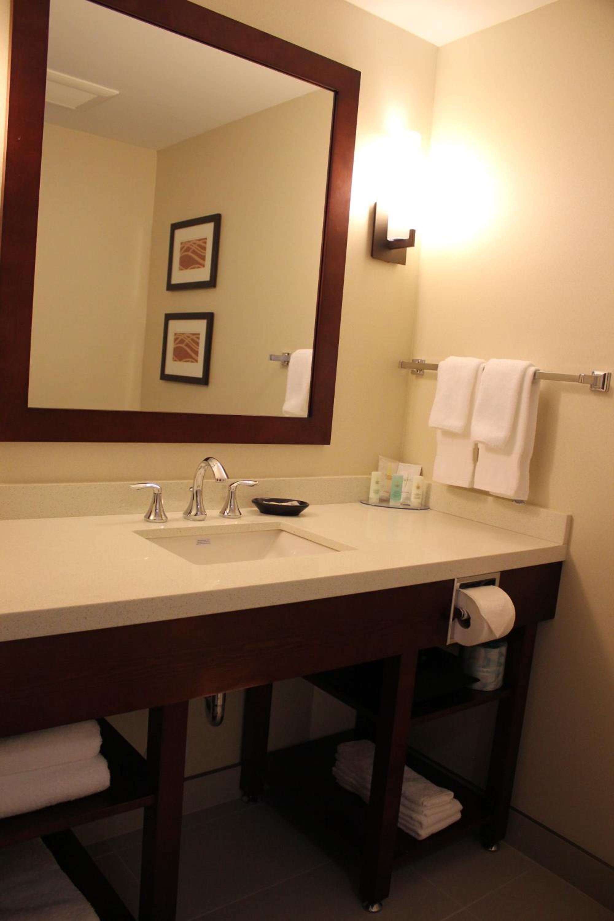 Фото Comfort Inn & Suites Edmonton International Airport