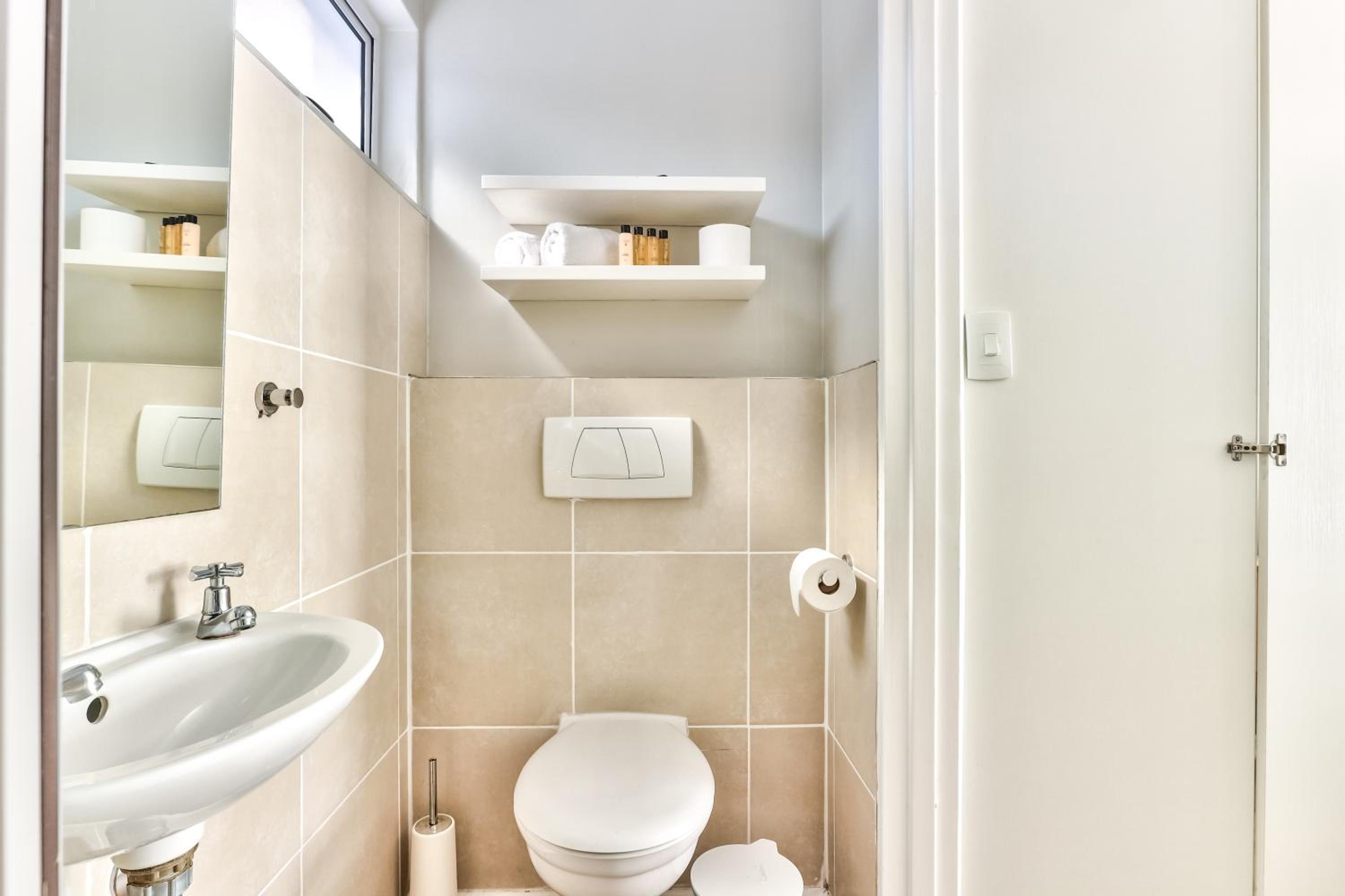 Фото Wink Quiver Tree