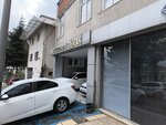 Aygun Auto (İstanbul, Güngören, Merkez Mah., Danışman Sok., 9), car dealership