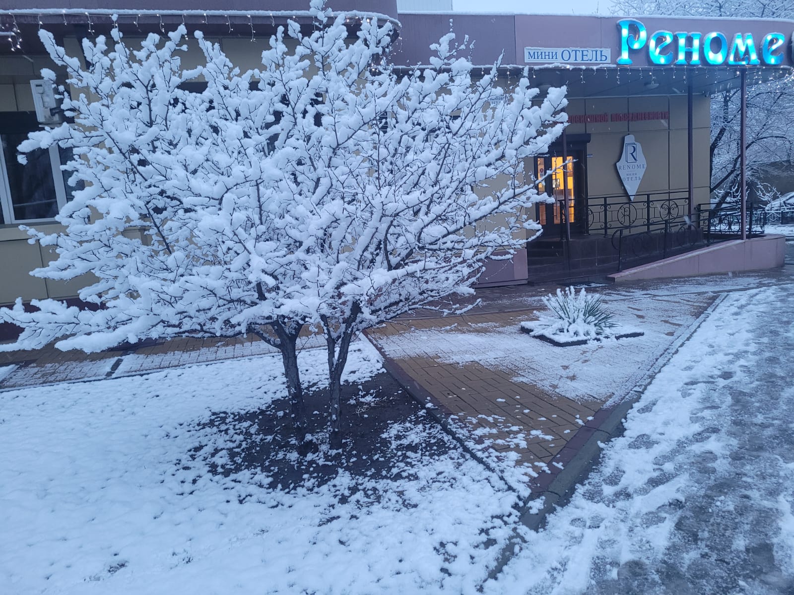 Фото Реноме