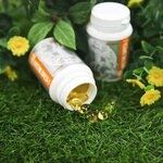 Форс Груп (Kanysh Satbayev Street, 29Д), phytoproducts, dietary supplements