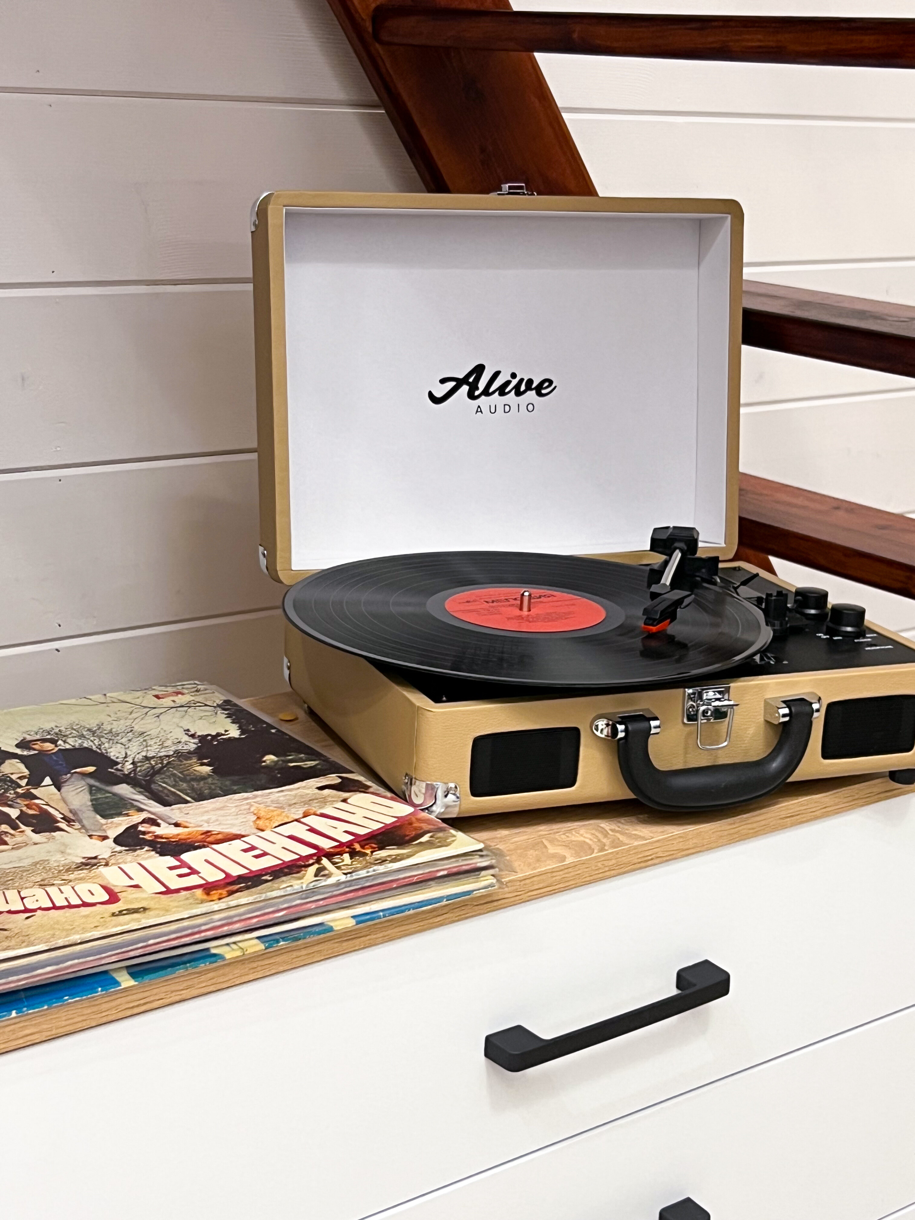 Фото Shale Aframe