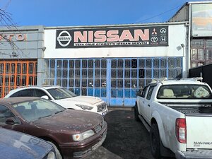 Nissan Special Service (Ankara Province, Yenimahalle, İvedik OSB Mah., 1346. Sok., 23), car service, auto repair